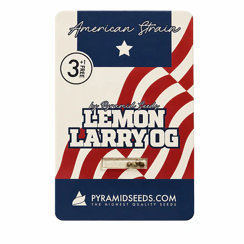 Lemon Larry OG Feminizada 3+1 – Pyramid Seeds