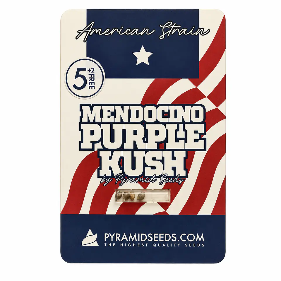 Mendocino Purple Kush Feminizada 3+1 – Pyramid Seeds 2