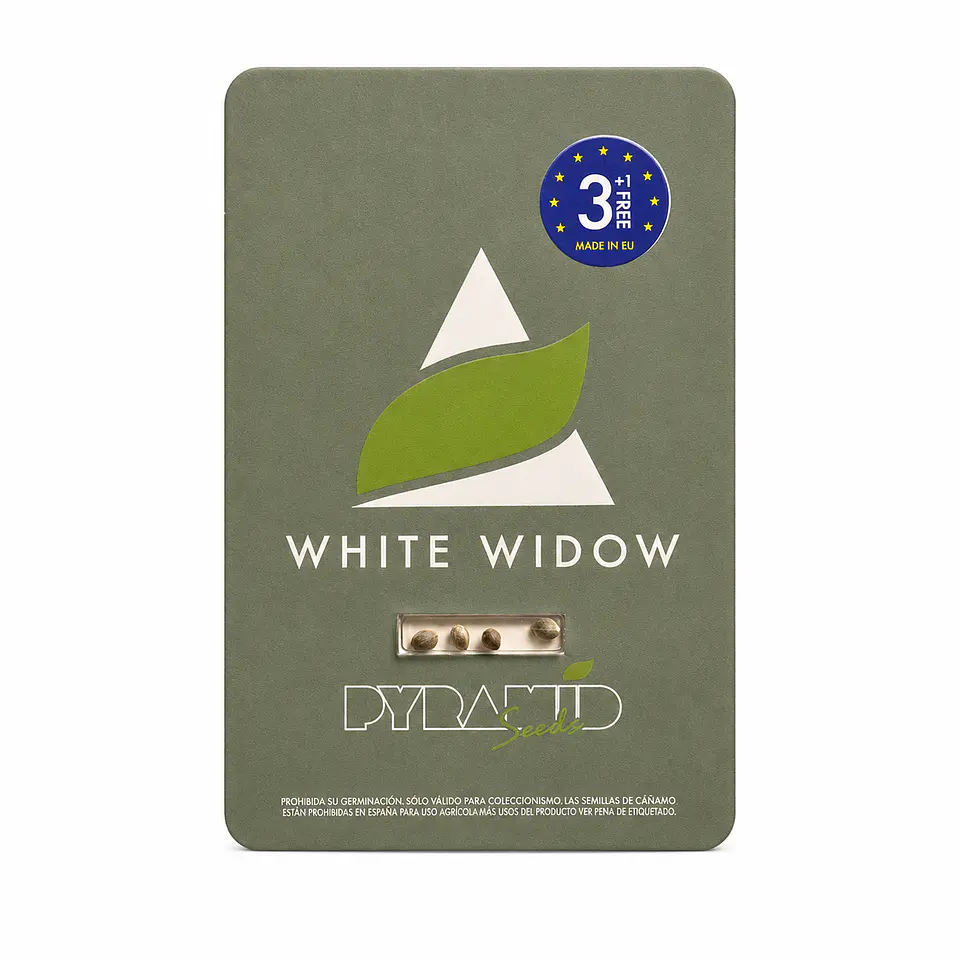 White Widow Feminizada 3+1 – Pyramid Seeds 2