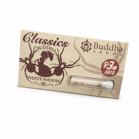 Auto White Widow Classics 3+1 – Buddha Seeds