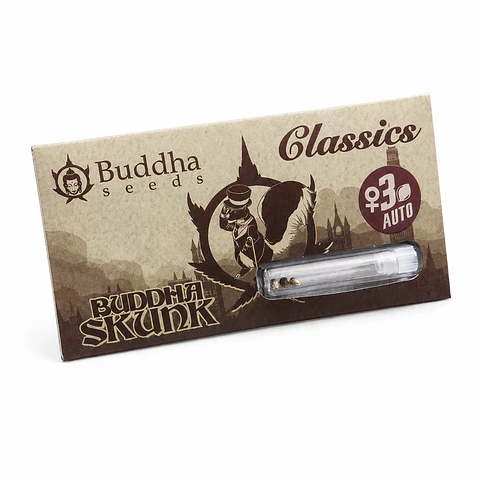 Auto Skunk Classics 3+1 – Buddha Seeds