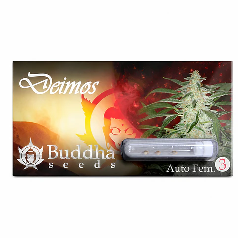 Deimos Auto 3+1 – Buddha Seeds