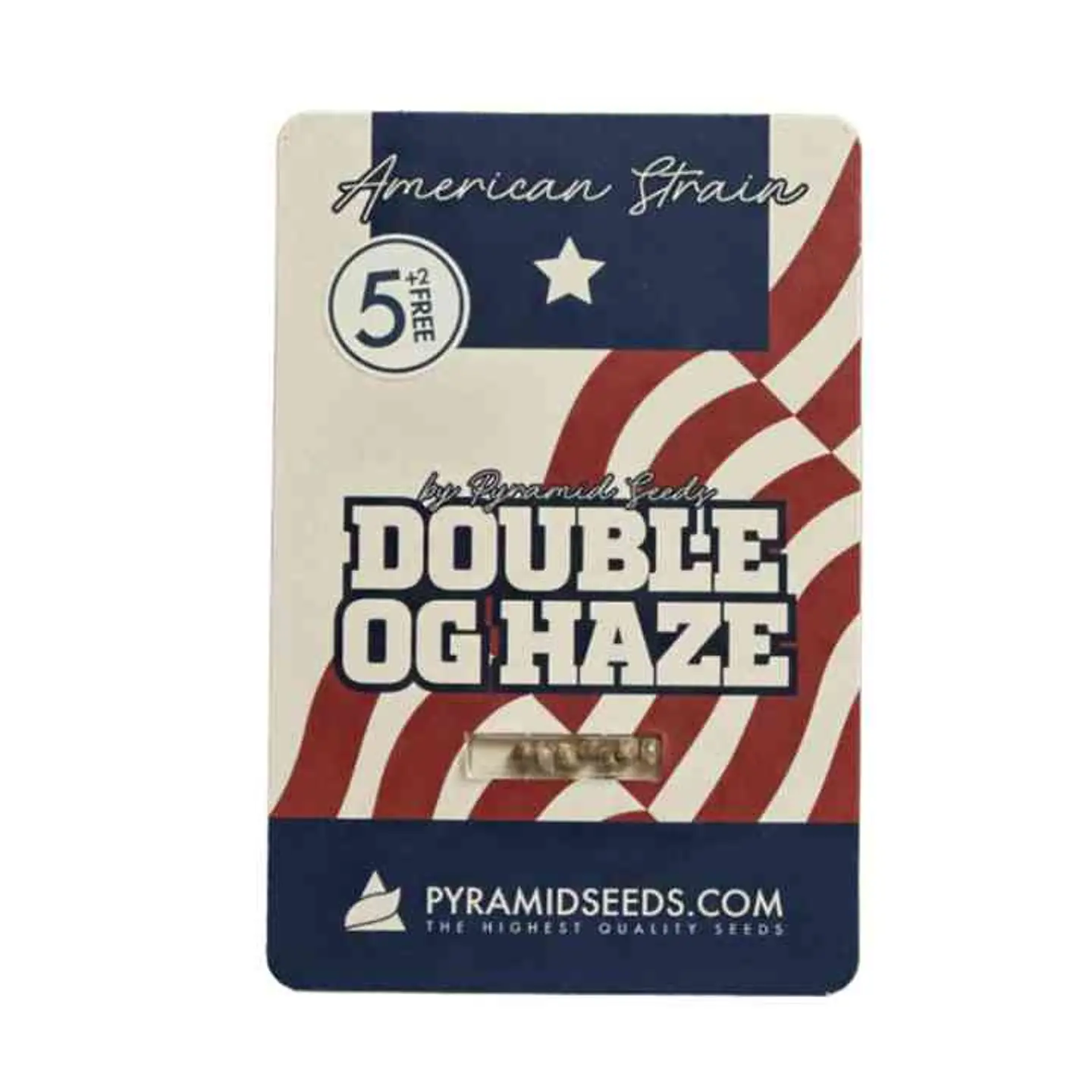 Double OG Haze Feminizada 3+1 – Pyramid Seeds 2