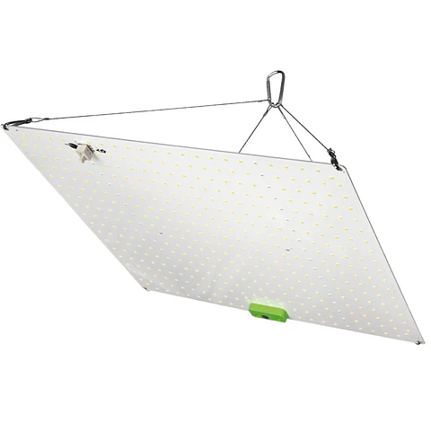 LED Quantum Board 150W para Carpa 80x80 | Hortilight Litha