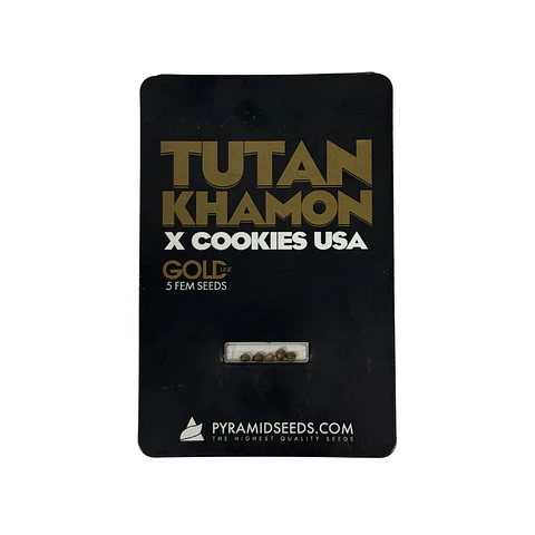 Tutankhamon X Cookies USA Gold Line X5 Unidades – Pyramid Seeds