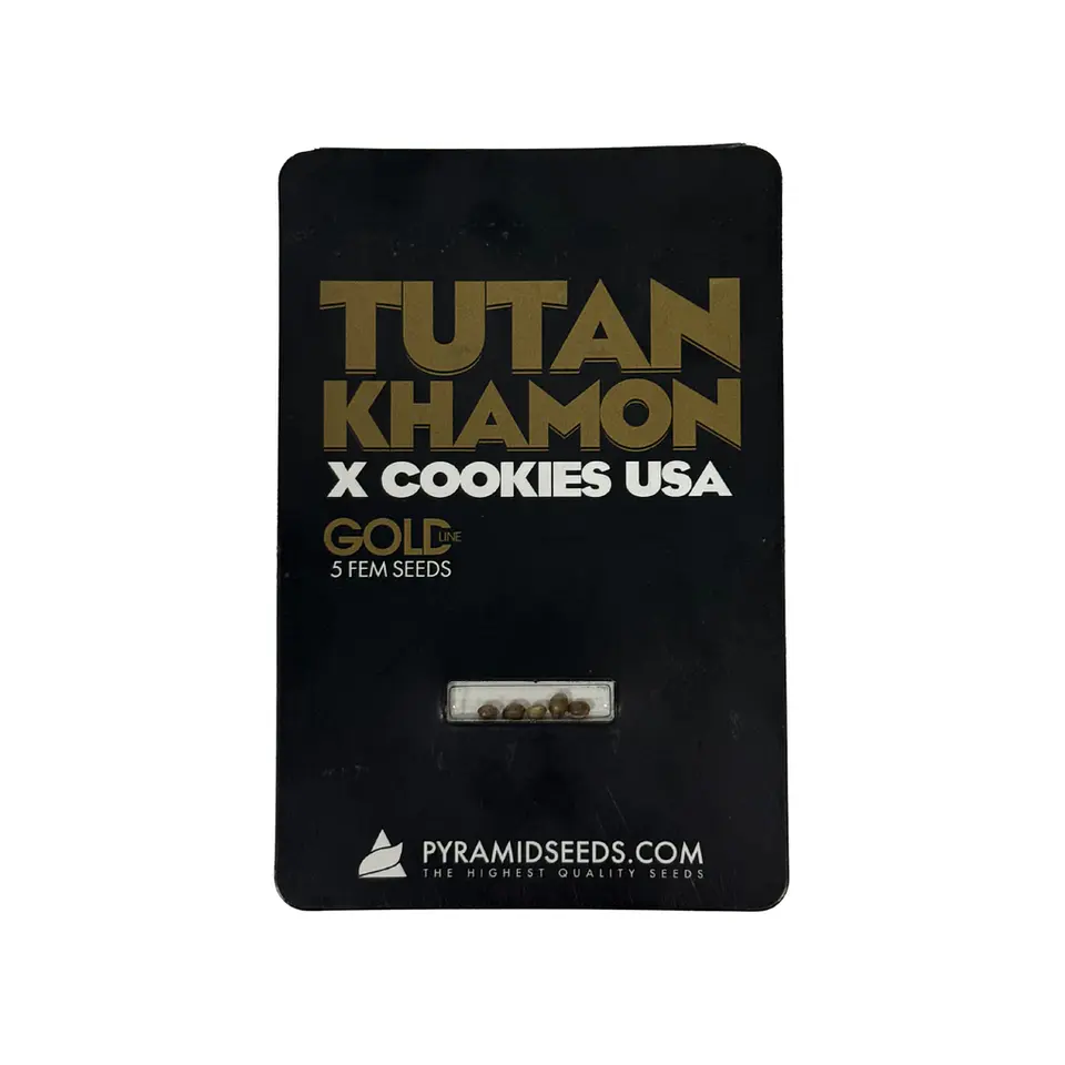 Tutankhamon X Cookies USA Gold Line X5 Unidades – Pyramid Seeds 1