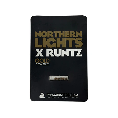 Northern Lights X Runtz Gold Line X5 Unidades – Pyramid Seeds
