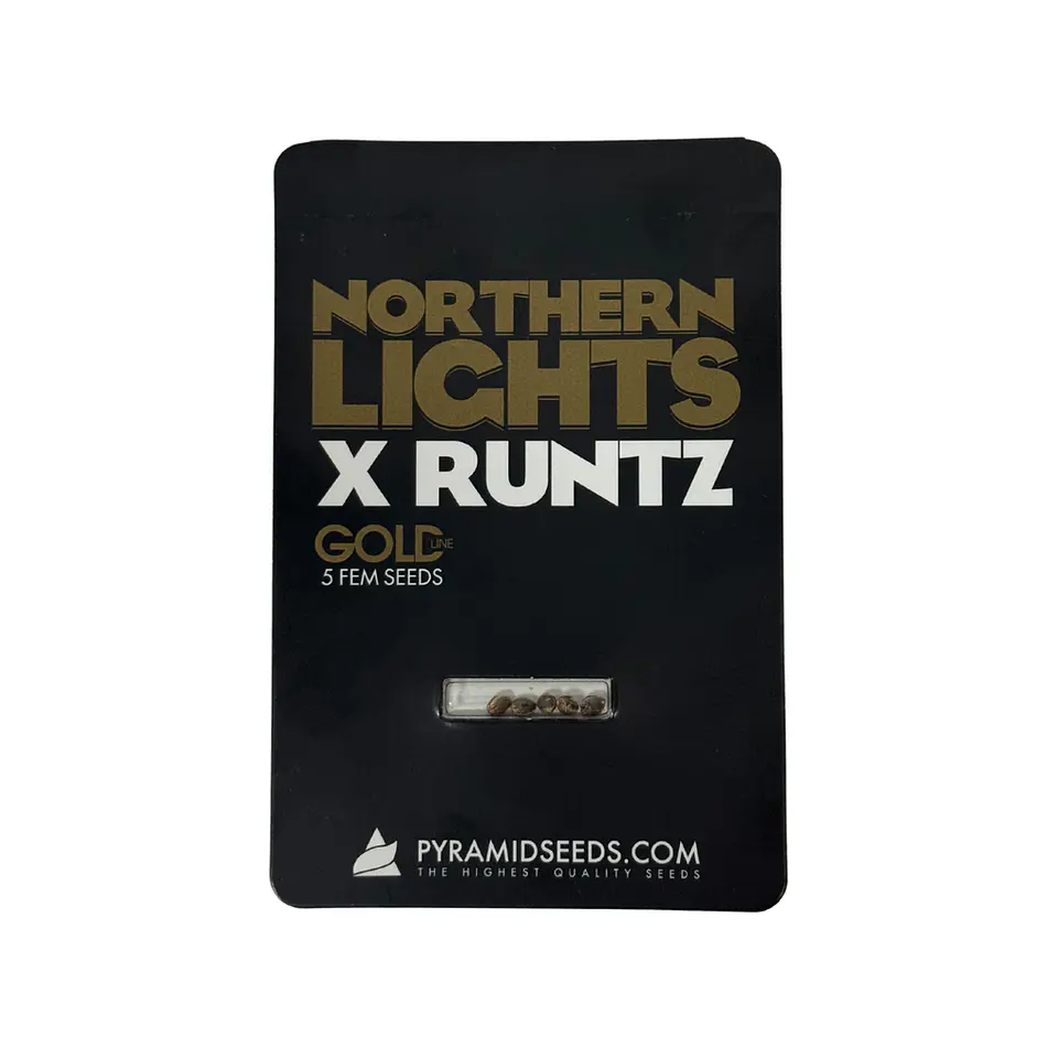 Northern Lights X Runtz Gold Line X5 Unidades – Pyramid Seeds 1