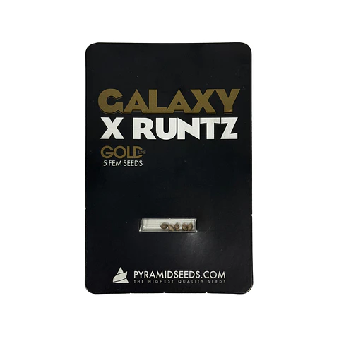 Galaxy X Runtz Gold Line X5 Unidades – Pyramid Seeds