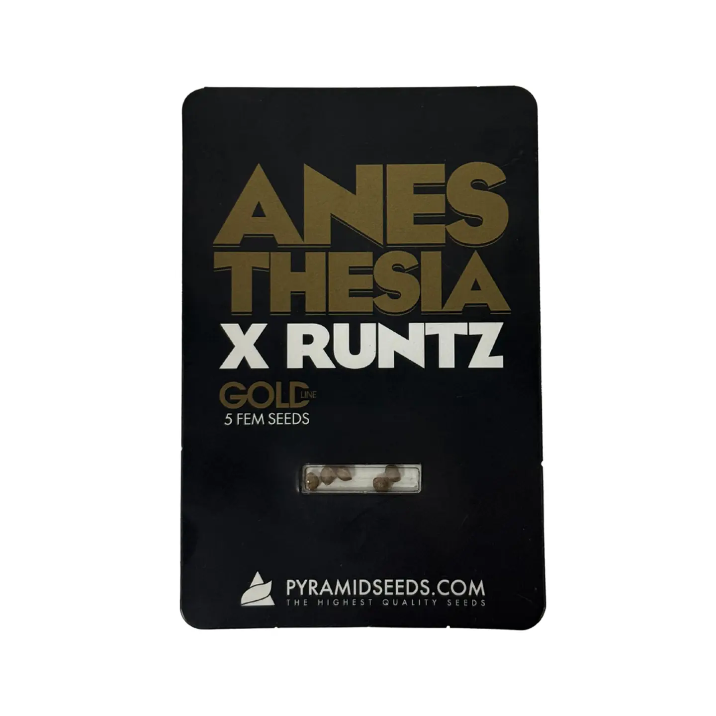 Anesthesia X Runtz Gold Line X5 Unidades – Pyramid Seeds 1