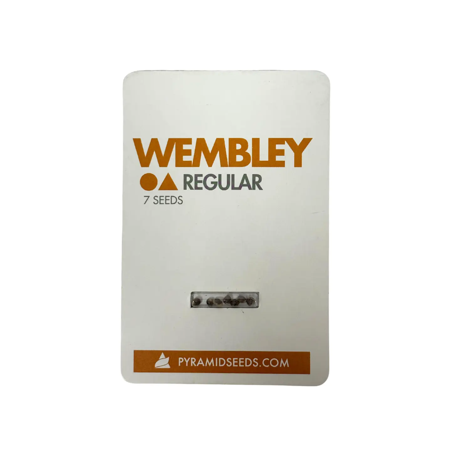 Wembley Regular X7 Unidades – Pyramid Seeds 1