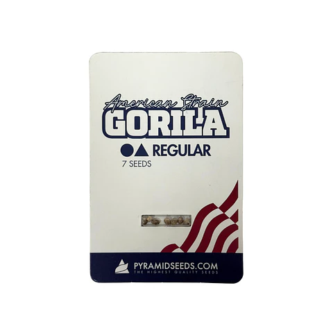 Gorila Regular X7 Unidades – Pyramid Seeds