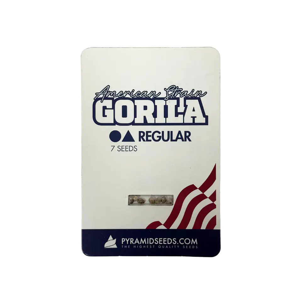 Gorila Regular X7 Unidades – Pyramid Seeds 1