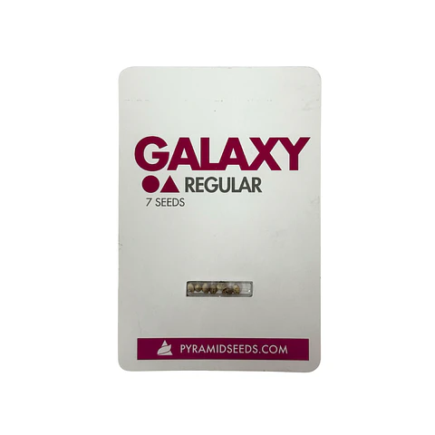 Galaxy Regular X7 Unidades – Pyramid Seeds