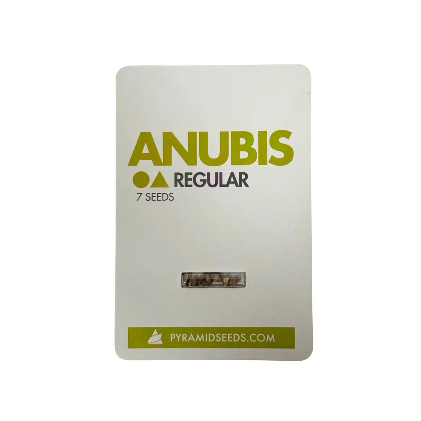 Anubis Regular X7 Unidades – Pyramid Seeds 1