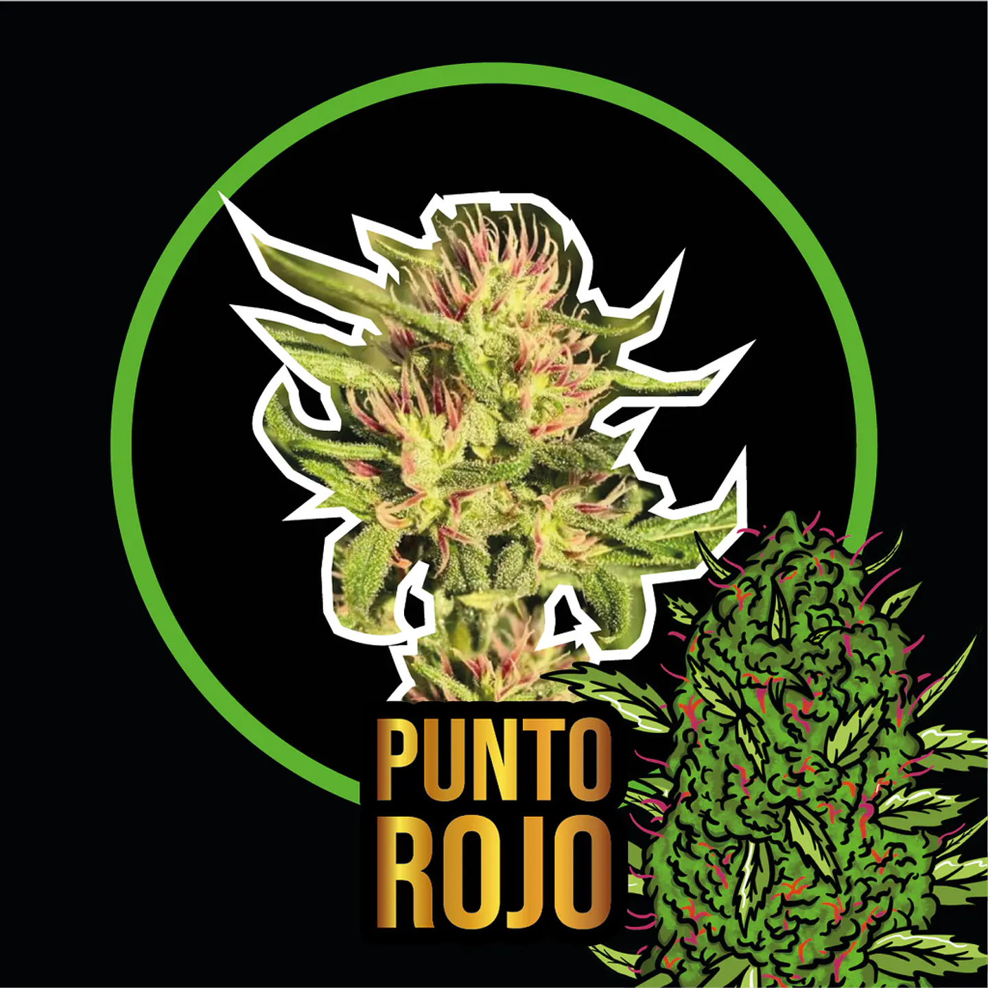 Punto Rojo Auto X4 – Delirium Seeds 1