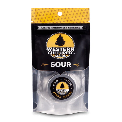 Dutch Treat Feminizada X3 – Western Cultured