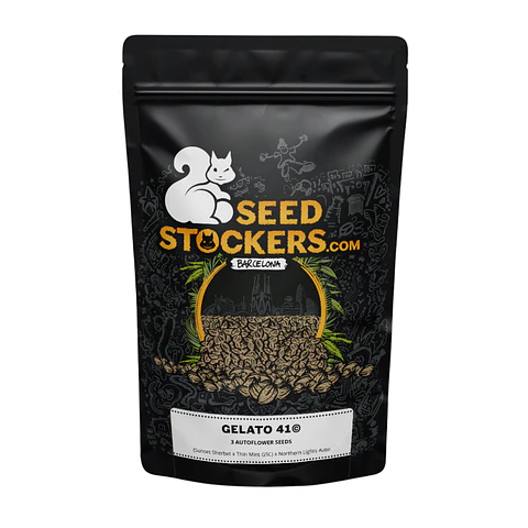 Gelato 41 Auto X3 – Seed Stockers