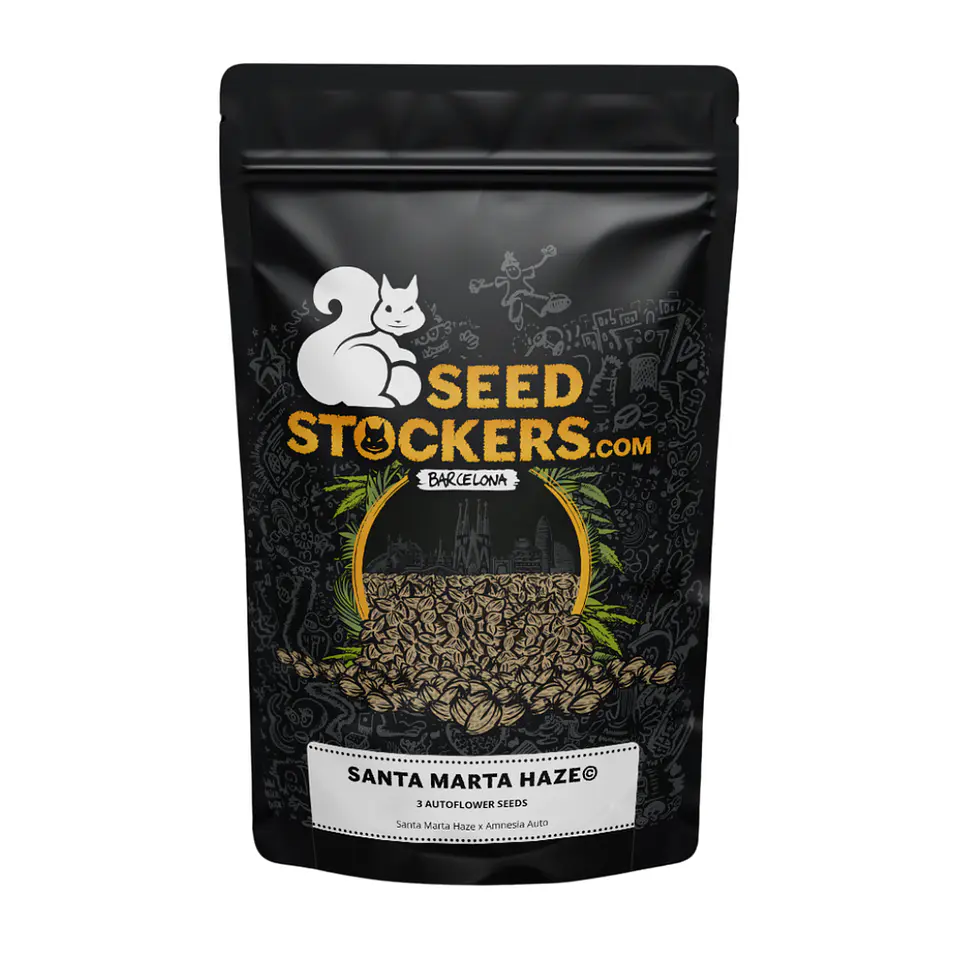 Santa Marta Haze Auto X3 – Seed Stockers 1