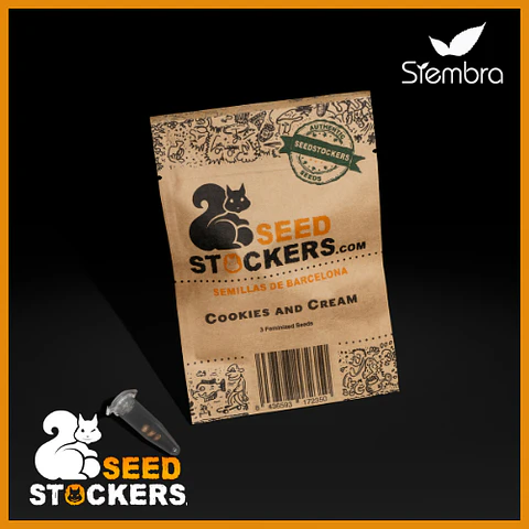 Cookies And Cream Feminizada X3 – Seed Stockers