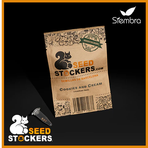 Cookies And Cream Auto X3 – Seed Stockers