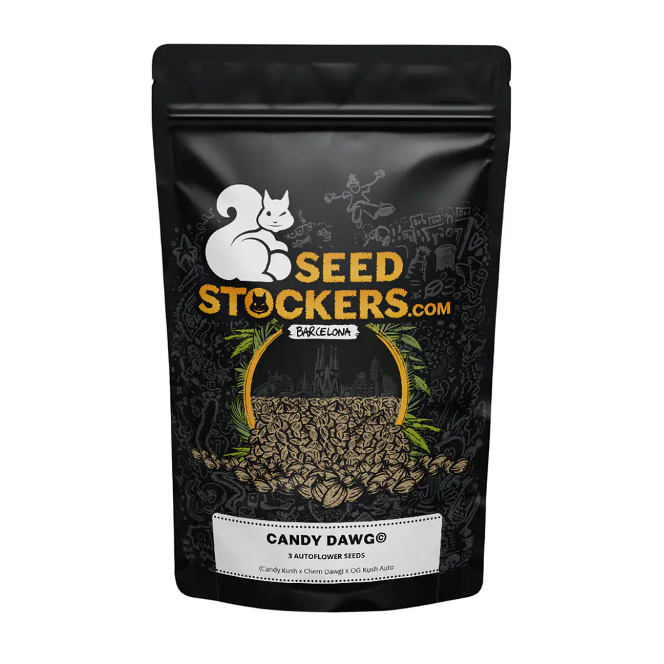 Candy Dawg Auto X3 – Seed Stockers 1