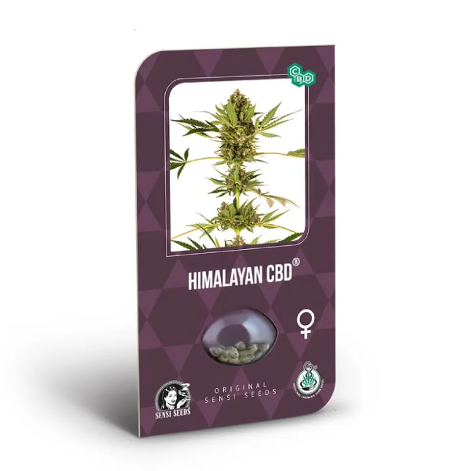 Himalayan Feminizada CBD X3 – Sensi Seeds 1