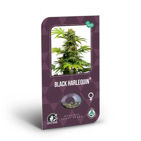 Black Harlequin Feminizada X3 – Sensi Seeds