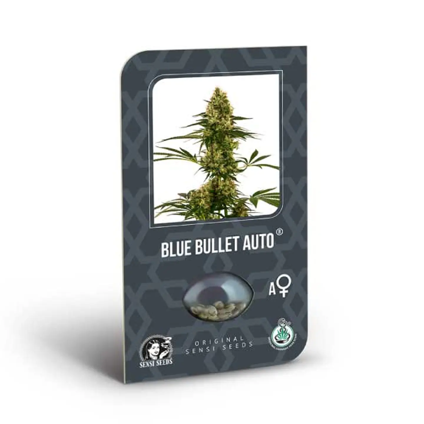 Blue Bullet Auto X3 – Sensi Seeds 1
