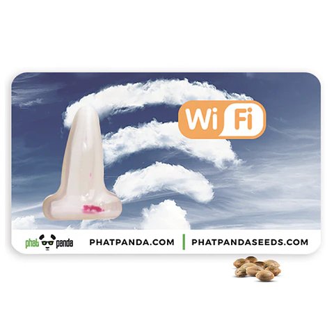 Wifi Feminizada X3 – Phat Panda