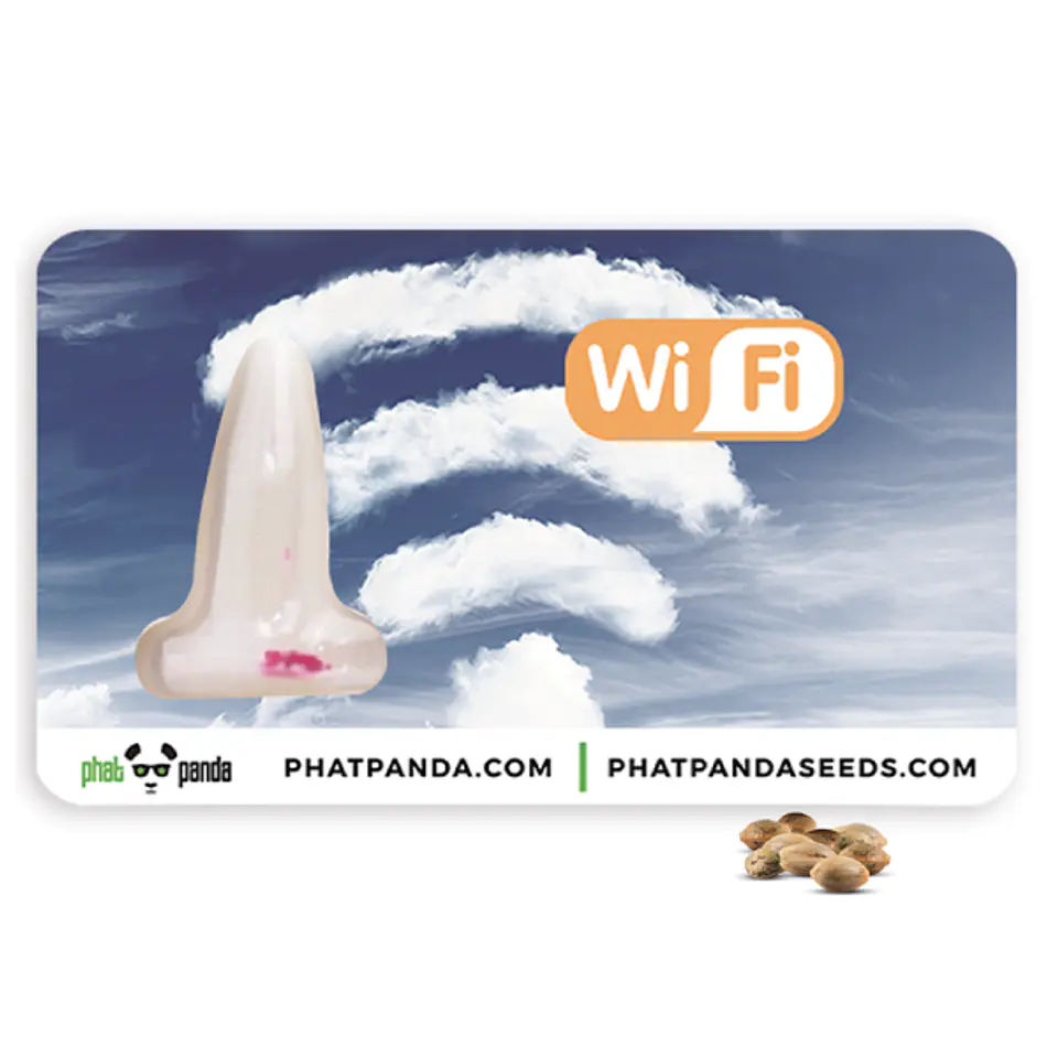 Wifi Feminizada X3 – Phat Panda 1