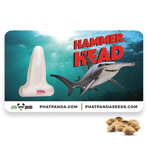 Hammerhead Feminizada X3 – Phat Panda