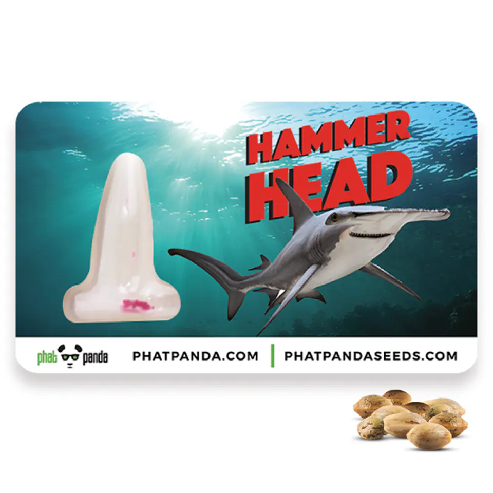 Hammerhead Feminizada X3 – Phat Panda 1