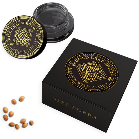 Fire Bubba Feminizada X3 – Gold Leaf