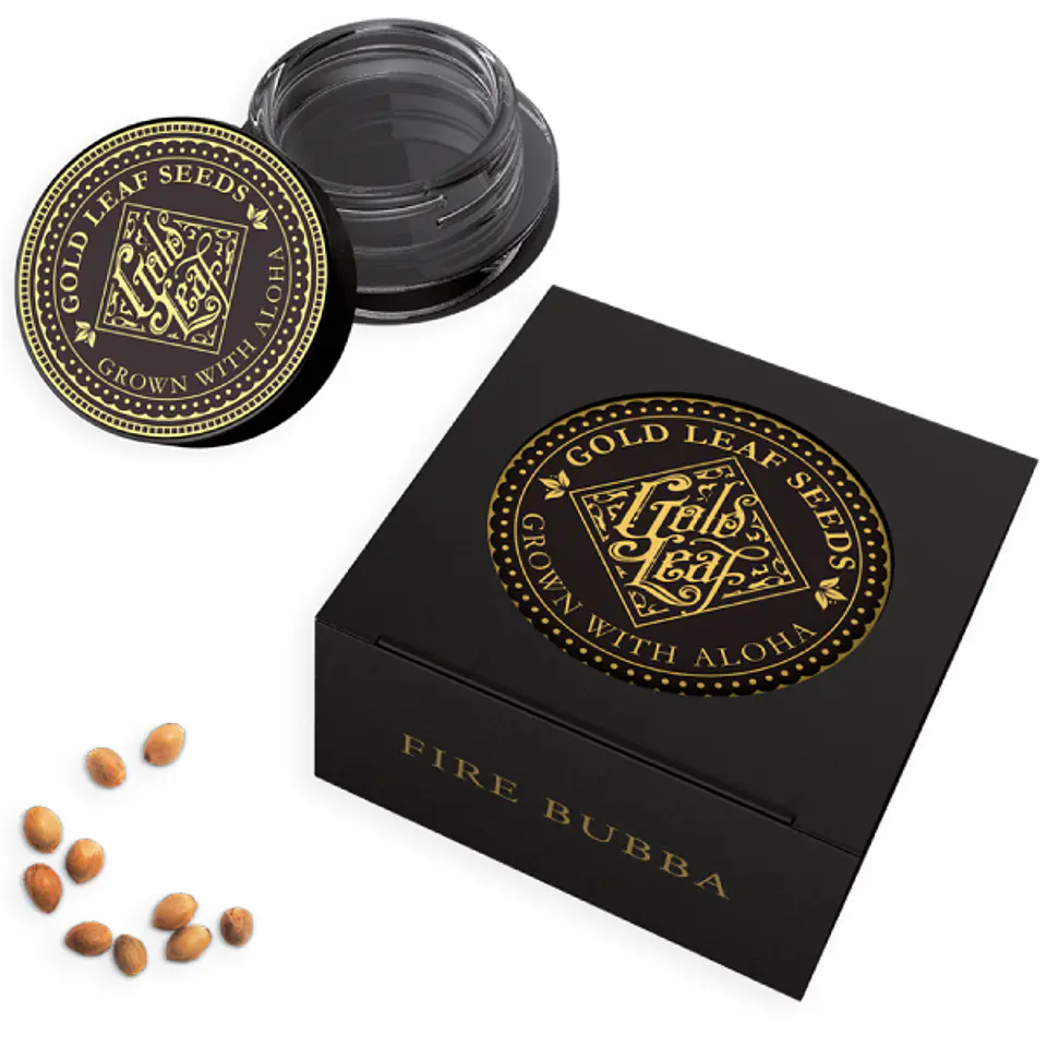 Fire Bubba Feminizada X3 – Gold Leaf 1