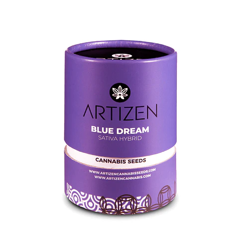 Blue Dream X3 Feminizada – Artizen Seeds