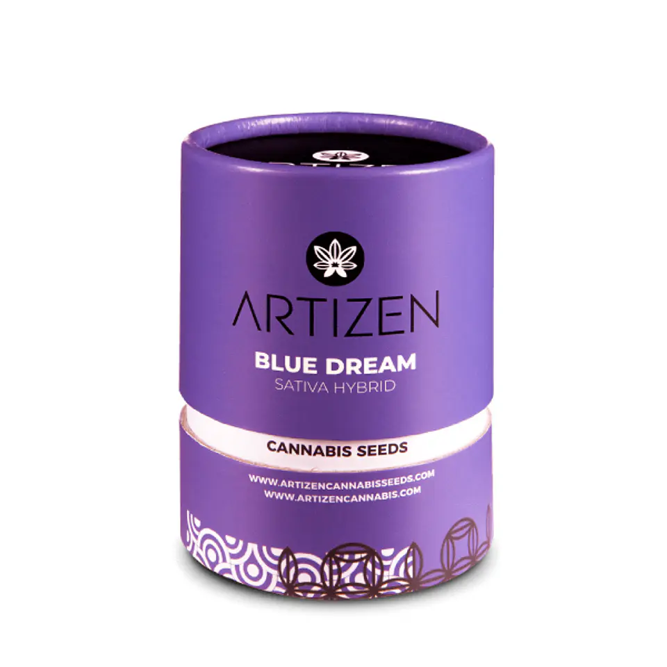 Blue Dream X3 Feminizada – Artizen Seeds 1