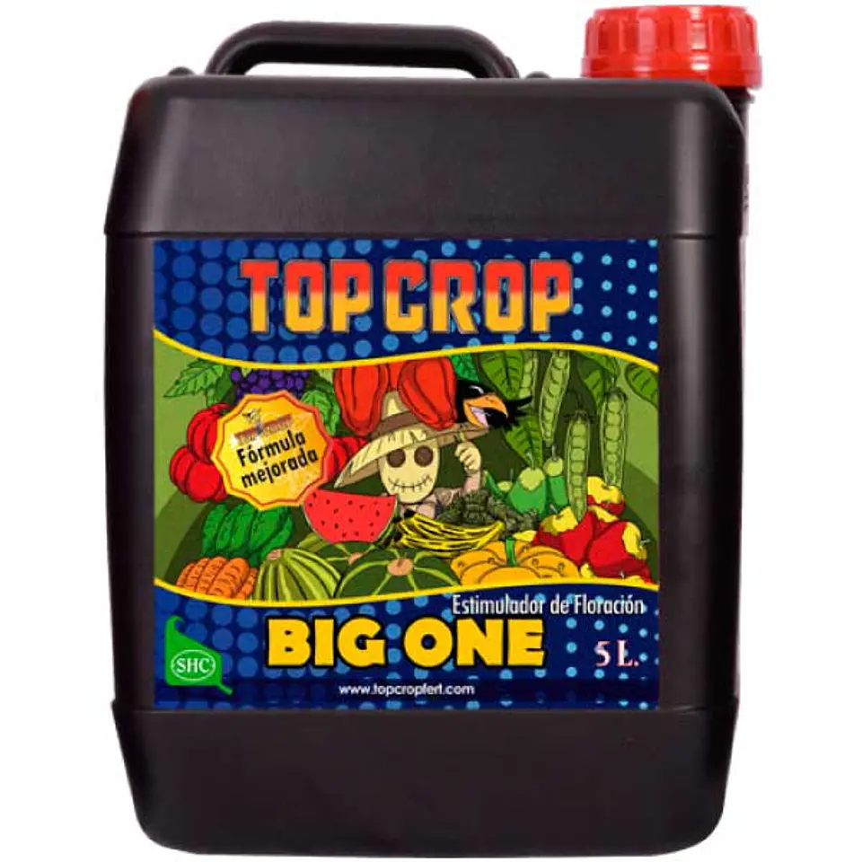 Big One 5L – Top Crop 1