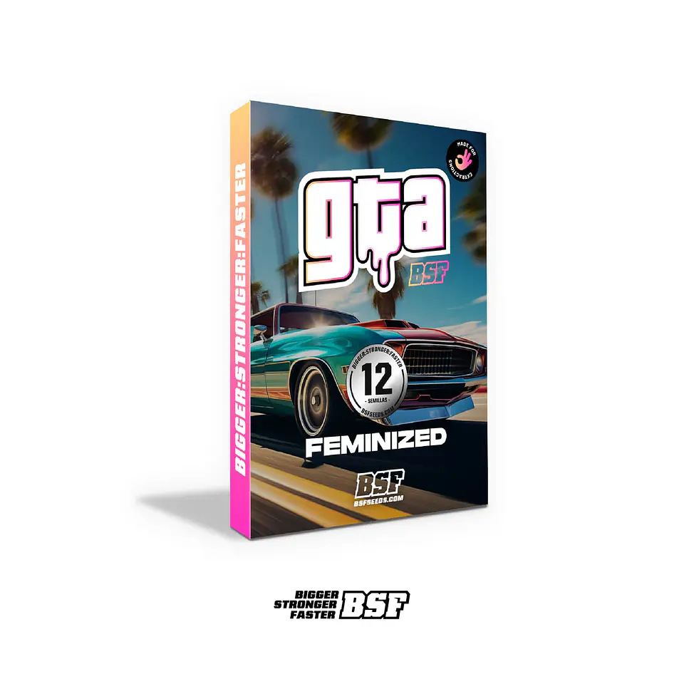 GTA Feminizada X2 - BSF Seeds 3
