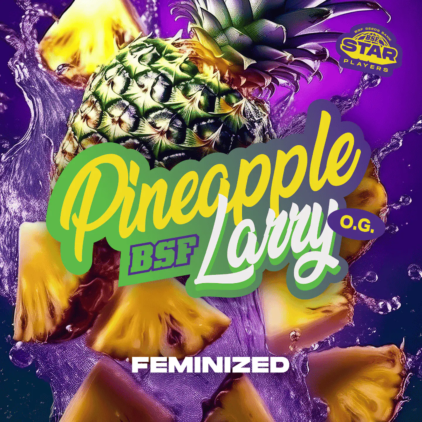 Pineapple Larry OG SP Feminizada X2 - BSF Seeds 2