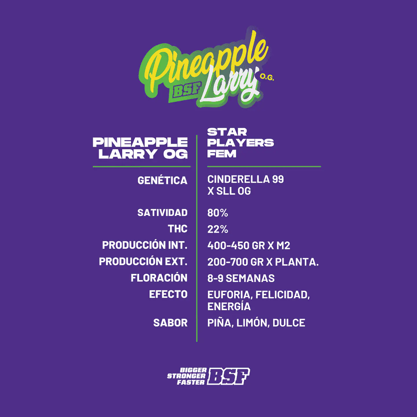 Pineapple Larry OG SP Feminizada X2 - BSF Seeds 3