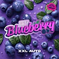 BlueBerry XXL Auto X2 - BSF Seeds - Miniatura 2