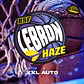 Lebron Haze XXL Auto X2 - BSF Seeds - Miniatura 2