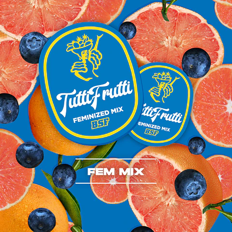 Tutti Frutti Feminizada Mix x12 – BSF Seeds