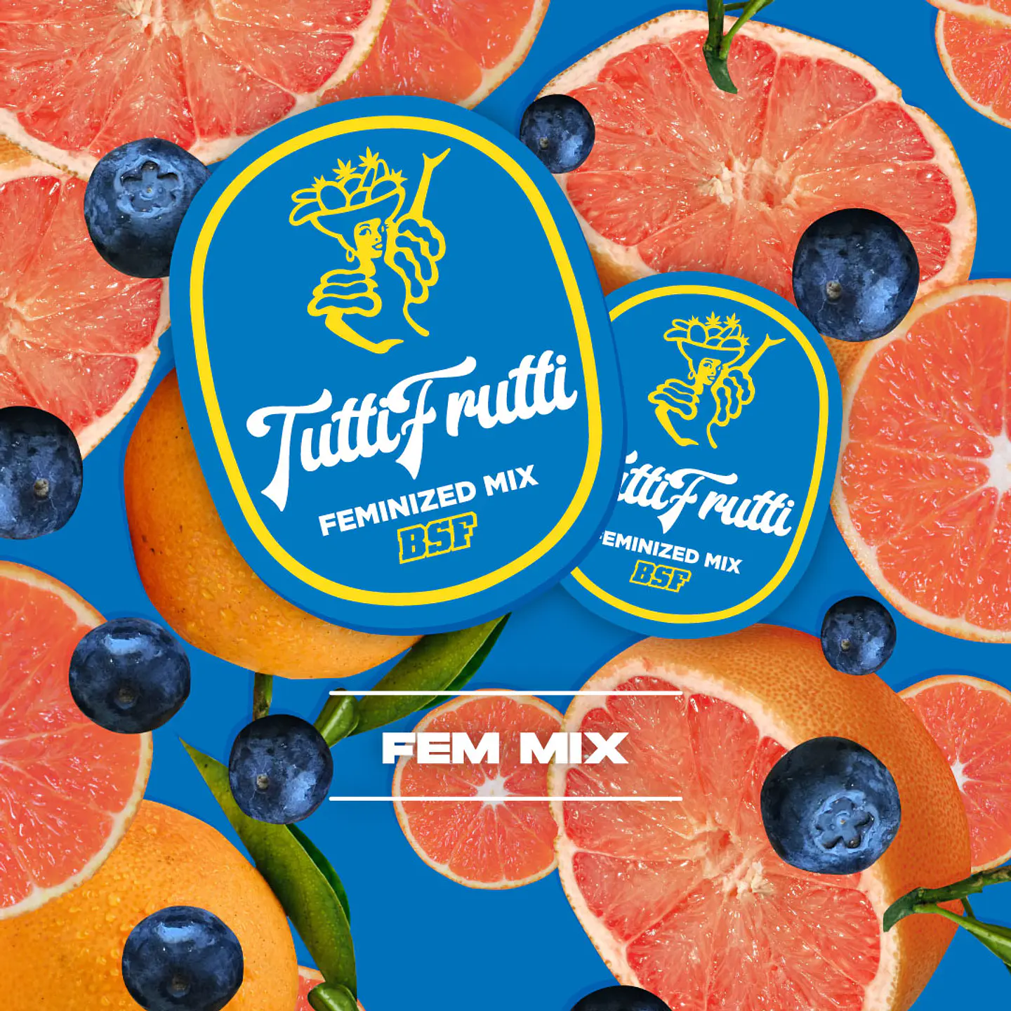 Tutti Frutti Feminizada Mix x12 – BSF Seeds 1