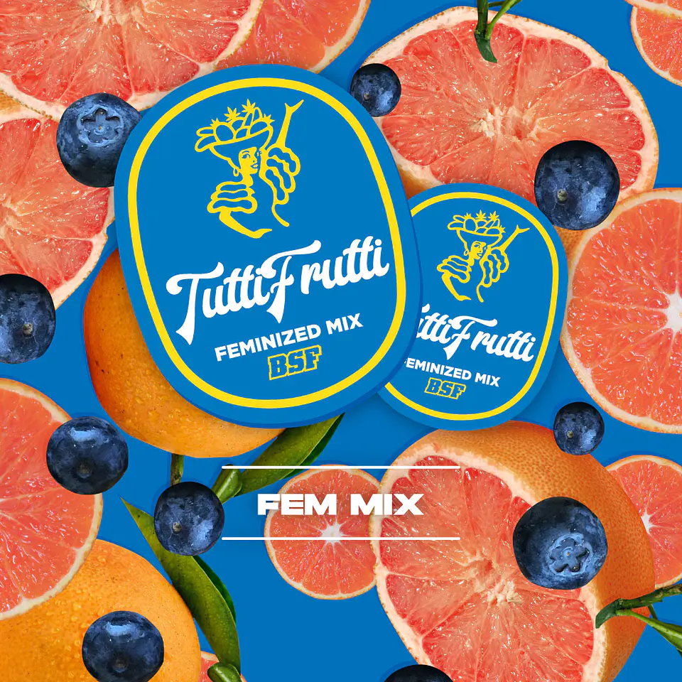 Tutti Frutti Feminizada Mix x12 – BSF Seeds 1