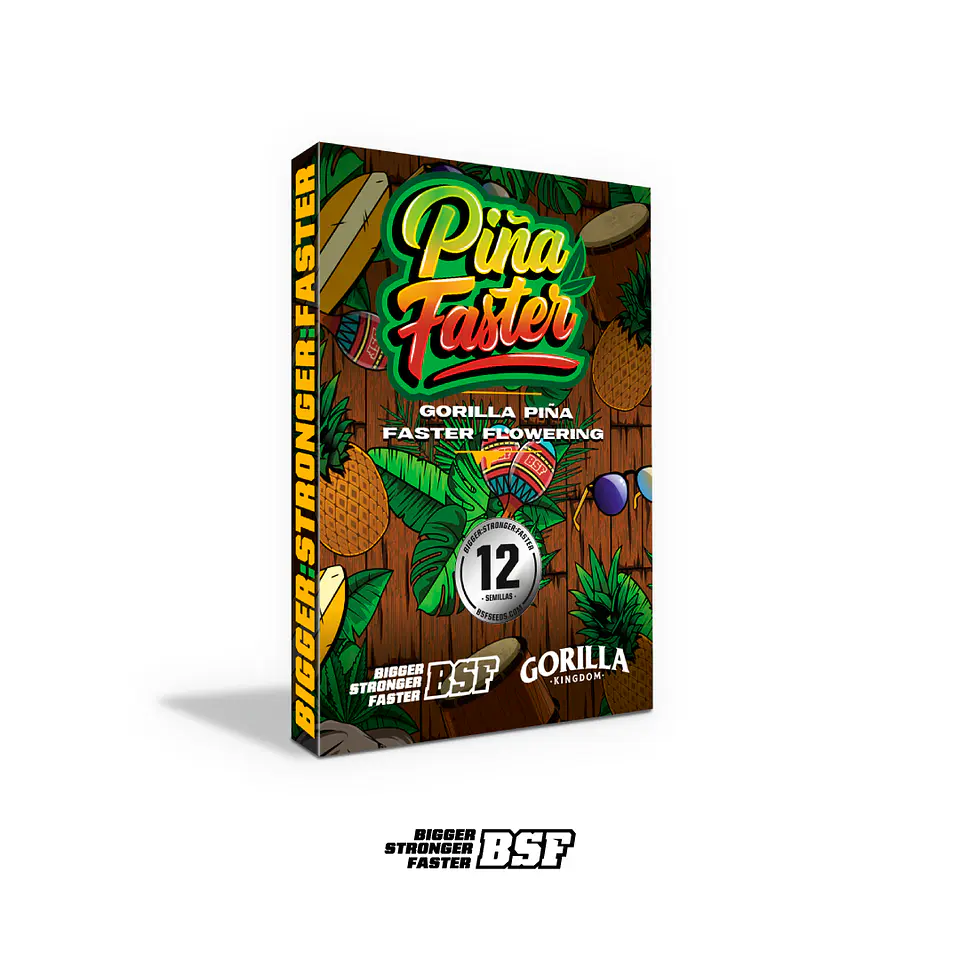 Gorilla Piña Faster GK - BSF Seeds 5