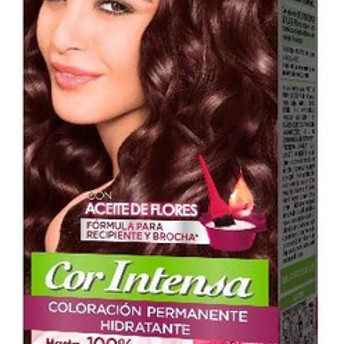 Tintura Cabello - GARNIER 4.15 CASTAÑO CENIZO CAOBA (45 g) 2