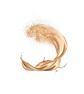 Polvo Compacto Infallible - LOREAL 350 Golden Beige - Miniatura 3