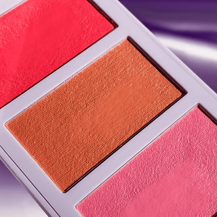 Blush Bouquet Palette It Girl Purple Fest - PETRIZZIO 3